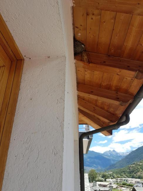 Casa Chanoux Chambave Bagian luar foto